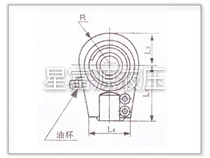 C25、D25系列高压重型液压缸